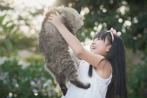 Asyalı kız güzel Farsça kedi holding — Stok fotoğraf