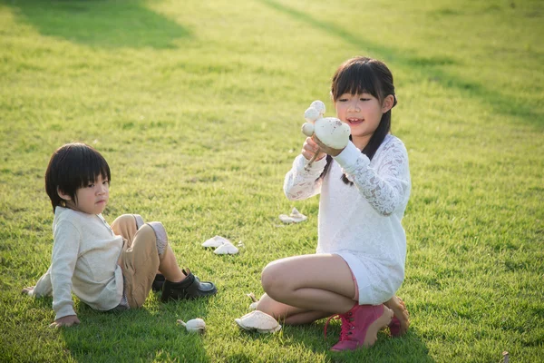 Asiático crianças escolher cogumelo no parque — Fotografia de Stock