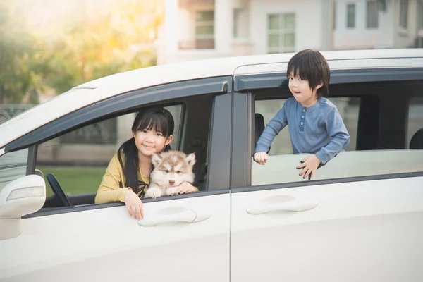 Asiatique enfants et sibérien husky chiot assis dans la voiture — Photo