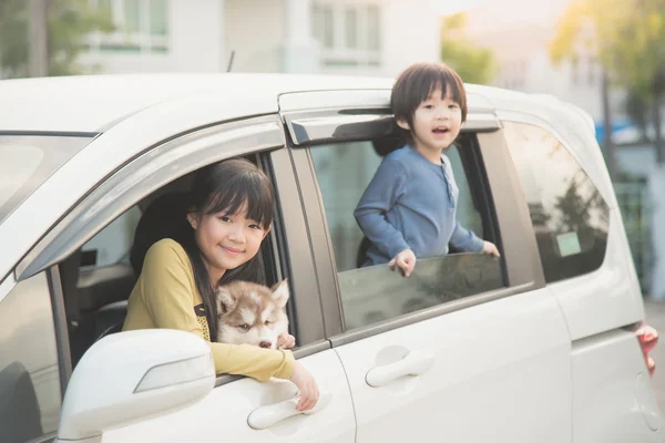 Asiático crianças e siberiano husky filhote sentado no o carro — Fotografia de Stock