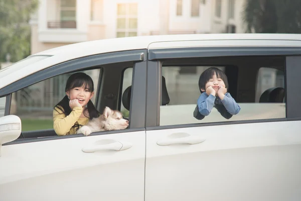 Asiatico bambini e siberiano husky cucciolo seduta in il auto — Foto Stock