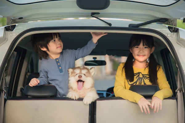 Asiático crianças e siberiano husky filhote sentado no o carro — Fotografia de Stock