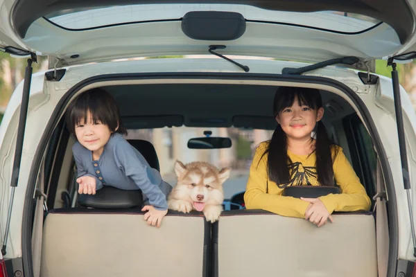 Asiatique enfants et sibérien husky chiot assis dans la voiture — Photo
