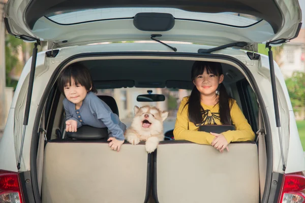 Asiático crianças e siberiano husky filhote sentado no o carro — Fotografia de Stock