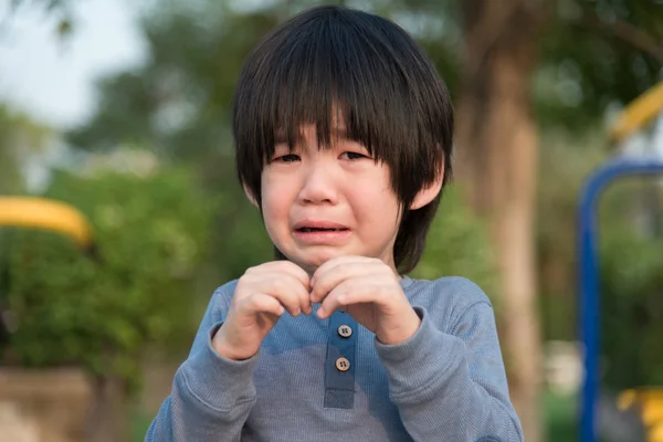 Asiático chico llorando en el parque — Foto de Stock