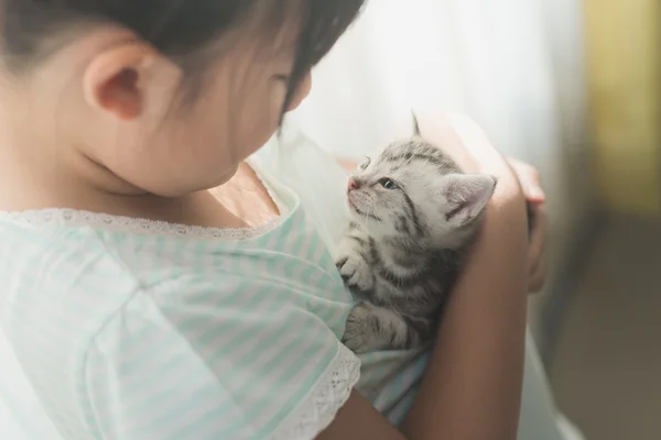 Asiatisch mädchen spielend mit amerikanisch kurzhaar cat — Stockfoto