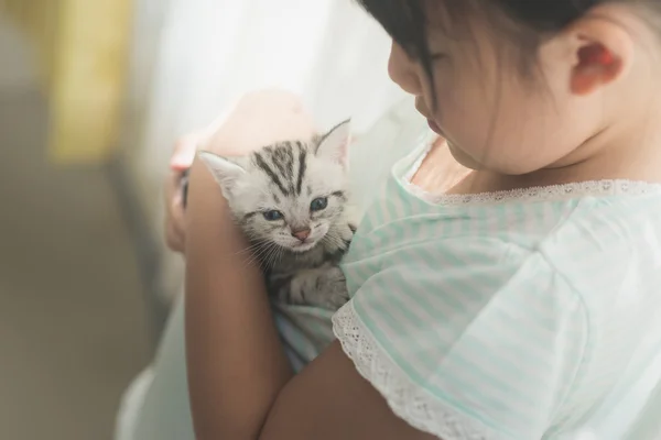 アジアの女の子はアメリカンショートヘア猫と遊ぶ — ストック写真