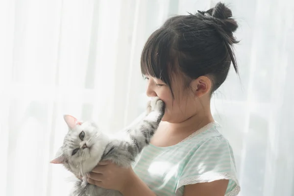 Азиатская девушка играет с американским короткометражным котом — стоковое фото