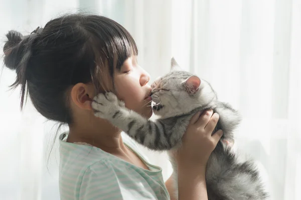 Aziatisch meisje met Amerikaanse korthaar kat spelen — Stockfoto