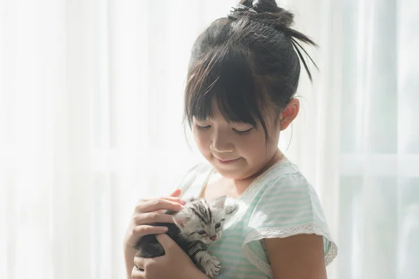 Ázsiai lány játszó amerikai Rövidszőrű macska — Stock Fotó