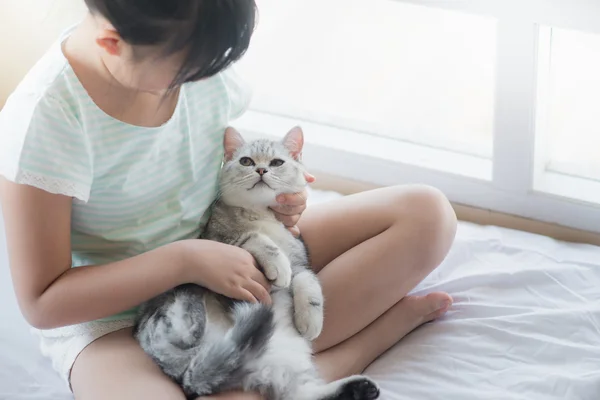 Asian girl playing with american shorthair — Stock Photo, Image