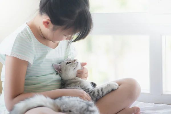 Hermosa chica asiática jugando con american shorthair gato en la cama —  Fotos de Stock