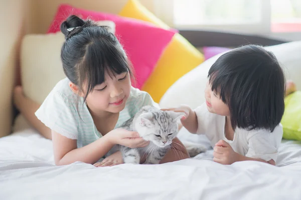 Crianças brincando com americano gato shorthair — Fotografia de Stock