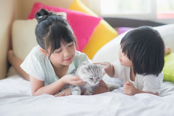 Enfants jouant avec le chat américain à poil court — Photo