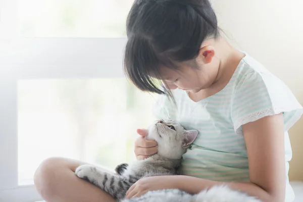 Bela ásia menina jogar com americano shorthair gato no o cama — Fotografia de Stock