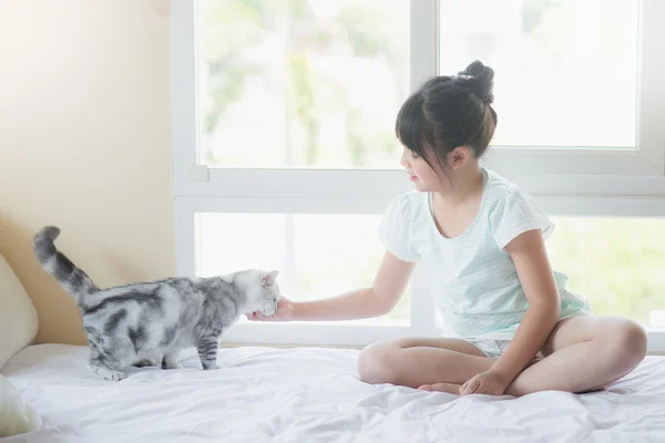 Bela ásia menina jogar com americano shorthair gato no o cama — Fotografia de Stock