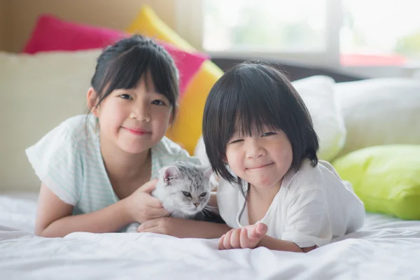 Kinderen spelen met Amerikaanse korthaar kat — Stockfoto