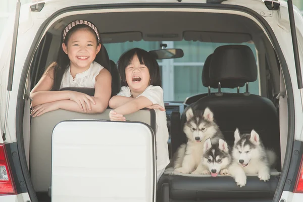 Heureux asiatique les enfants et sibérien husky chiot assis dans l 'voiture — Photo