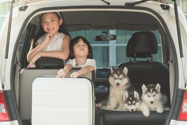 Heureux asiatique les enfants et sibérien husky chiot assis dans l 'voiture — Photo