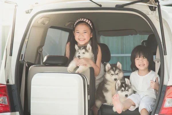 Heureux asiatique les enfants et sibérien husky chiot assis dans l 'voiture — Photo