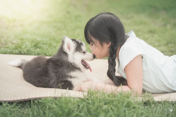 Schöne asiatische Mädchen spielen mit sibirischen Husky Welpen — Stockfoto