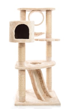 Büyük kedi kule izole 