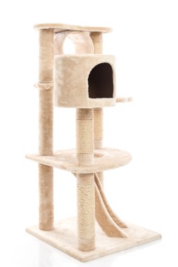 Büyük kedi kule izole 