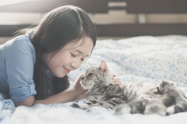 Asyalı kız Amerikan kısa saç kedi ile oynarken 