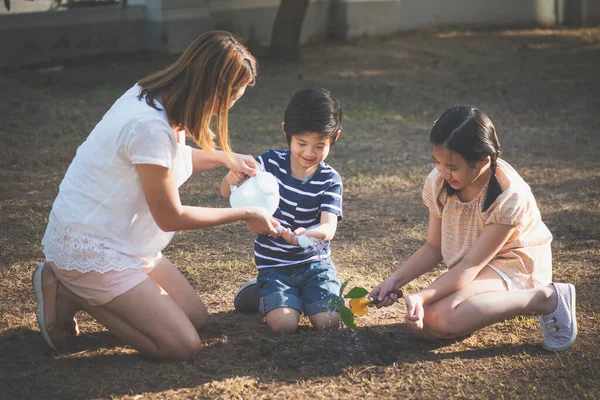 Lindos Niños Asiáticos Madre Plantando Árboles Jóvenes Suelo Negro Concepto — Foto de Stock