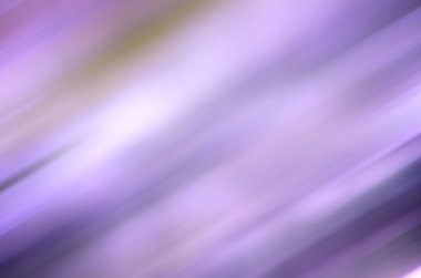 arka plan bulanıklık soyut Menekşe 