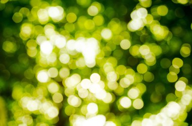 soyut doğa bulanık arkaplan