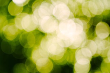 doğal görüntü arka planı