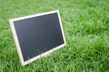 Kara tahta çimenlerin üzerinde