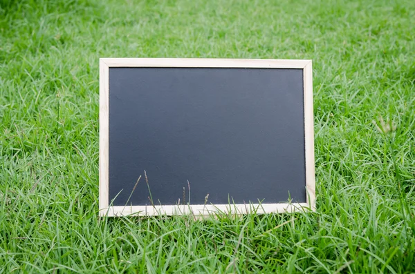 Bordo nero su erba — Foto Stock