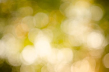 doğal arka planını dışarı odak orman veya bokeh