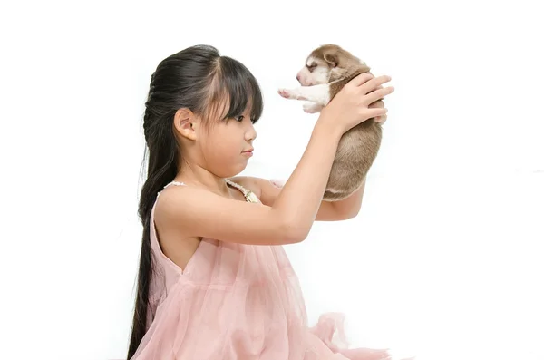 Küçük Asyalı kız köpek yavrusu — Stok fotoğraf