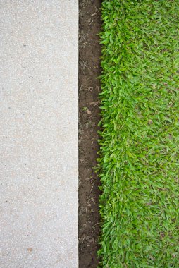 yeşil çim ve terrazzo kat
