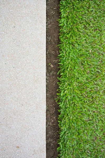 Yeşil çim ve terrazzo kat — Stok fotoğraf