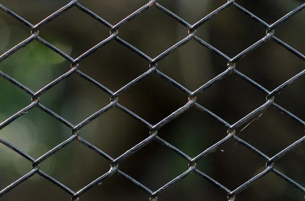 Eski zincir bağlantı çit — Stok fotoğraf