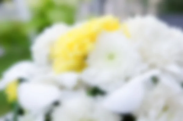 Suddig bakgrund av blomma — Stockfoto