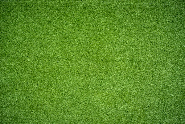 Groen gras — Stockfoto