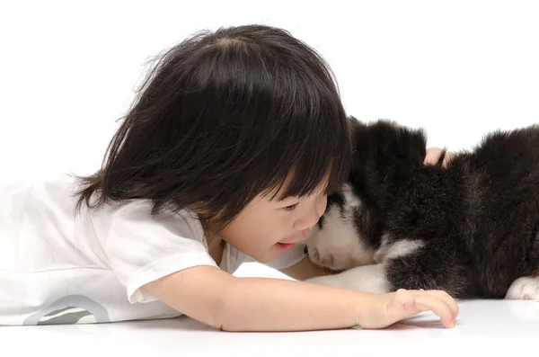 Petit asiatique bébé câlin sibérien husky chiot — Photo