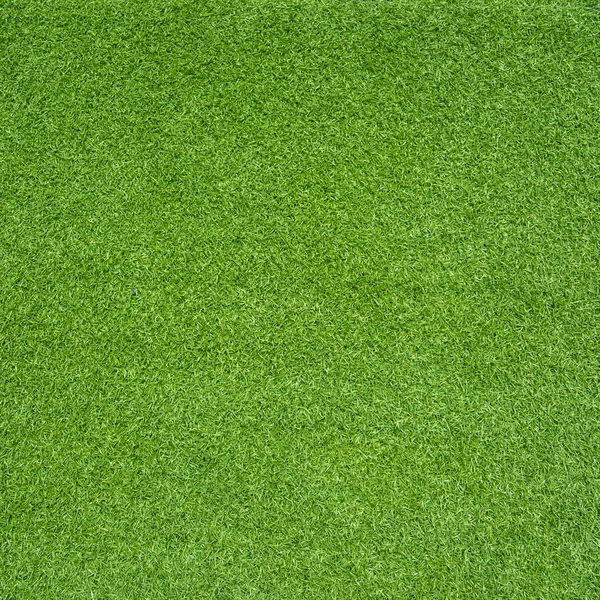 Hierba verde — Foto de Stock