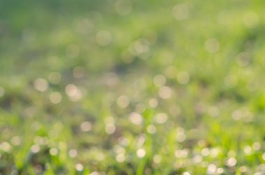 soyut bulanıklık yeşil çimen 