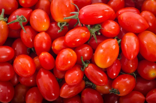 Πολλές κόκκινες ντομάτες — Φωτογραφία Αρχείου