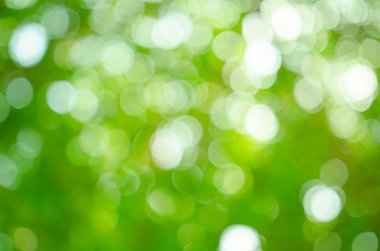 soyut yeşil arka plan bulanıklık 