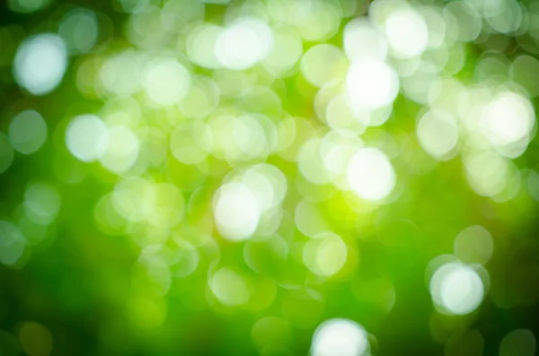 추상 녹색 배경 흐림 — 스톡 사진