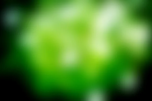 抽象的なグリーン背景をぼかし — ストック写真