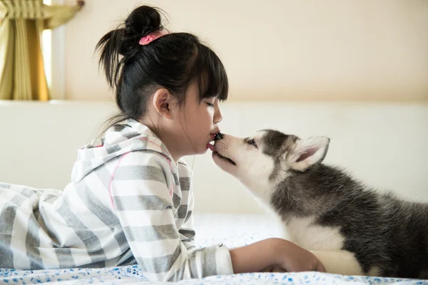 Pouco menina asiática beijando um cachorro husky siberiano — Fotografia de Stock