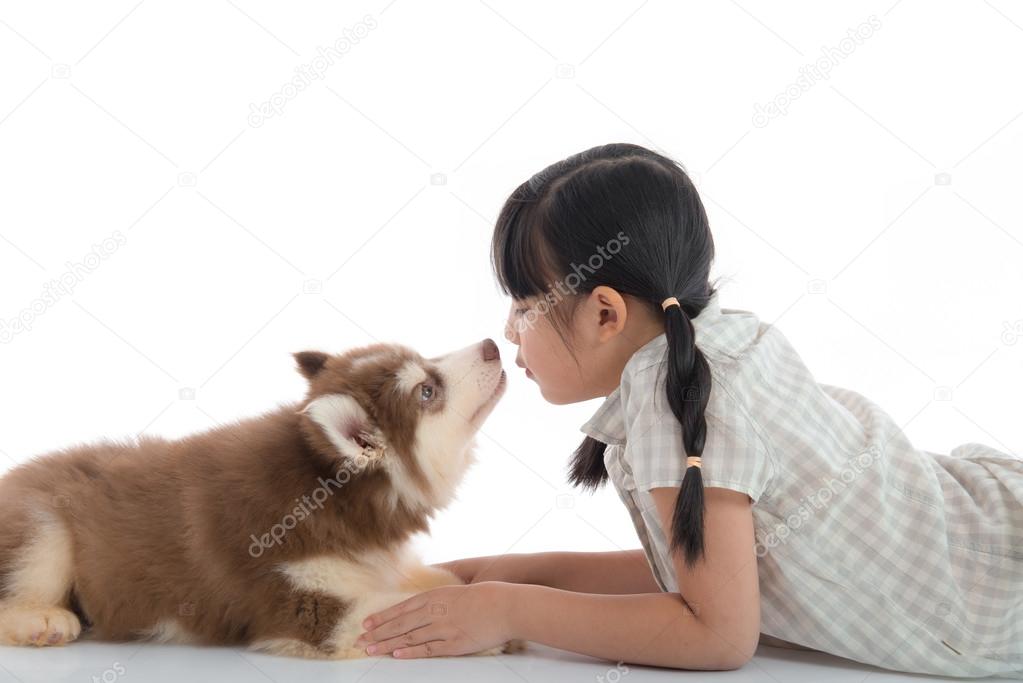 Little asian girl kissing a siberian husky puppy on white backgr